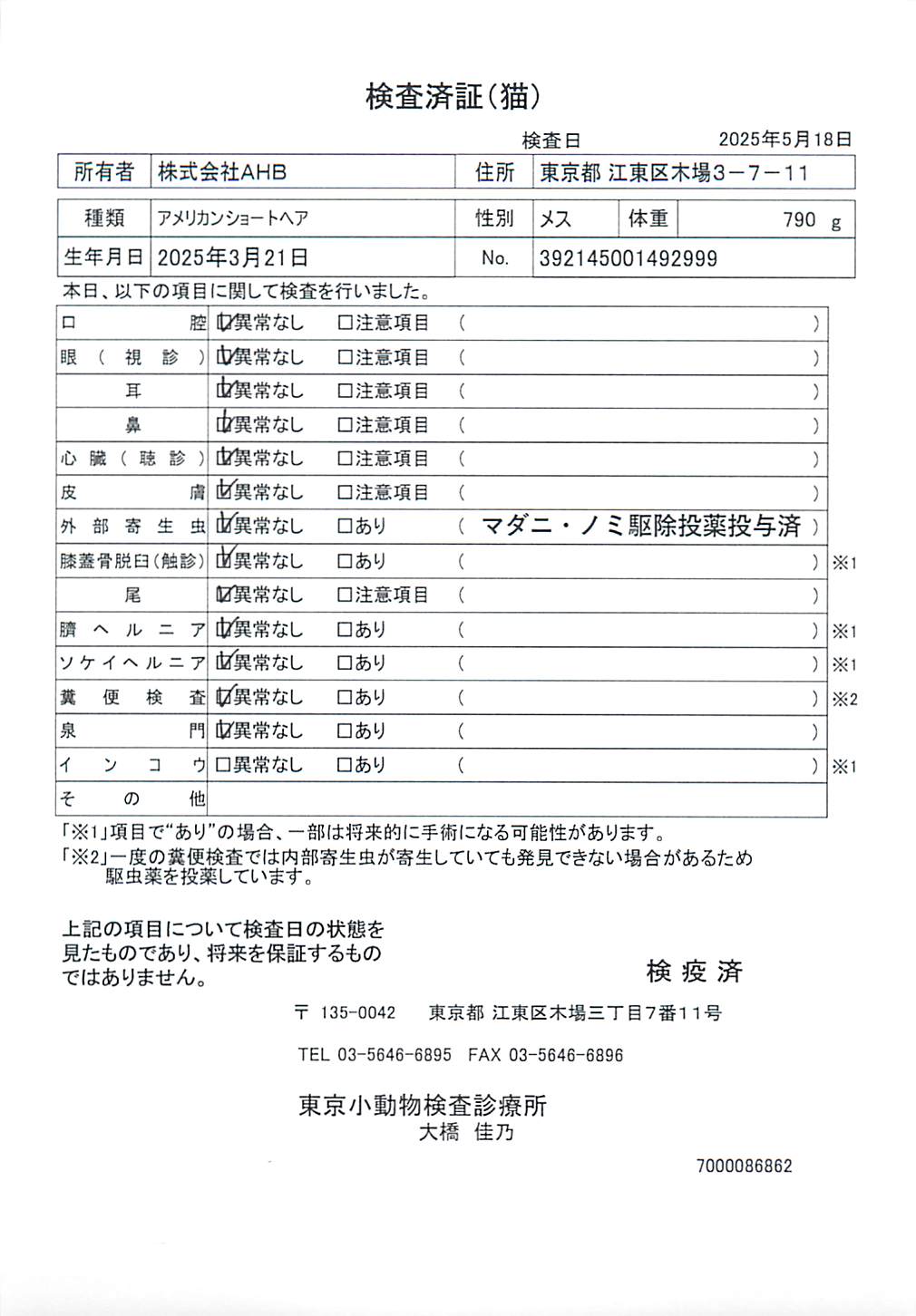 アメリカンショートヘア