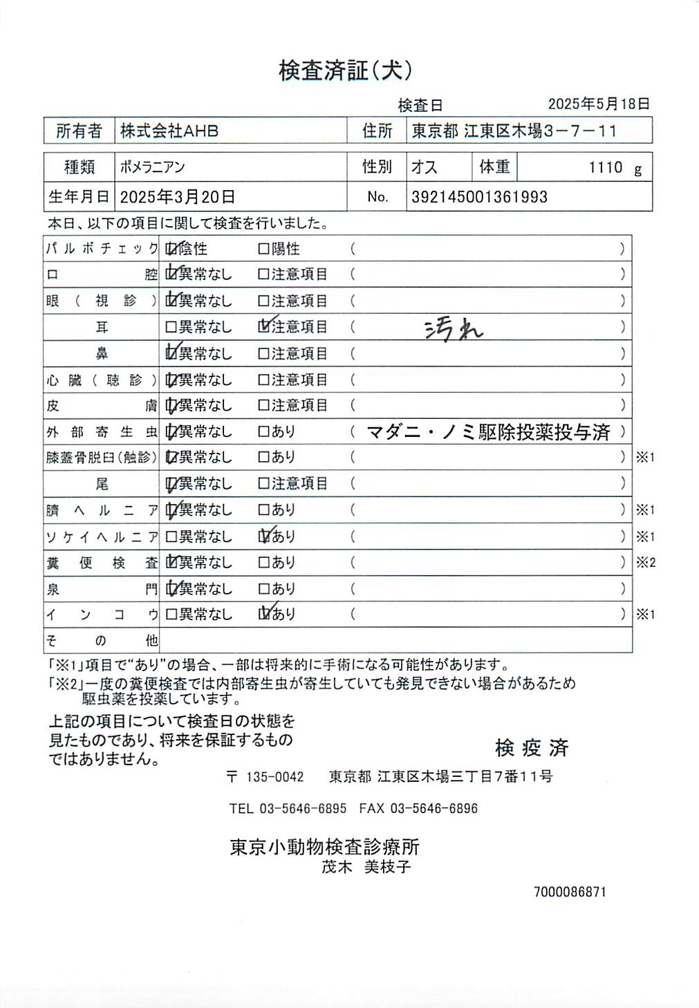 ポメラニアン
