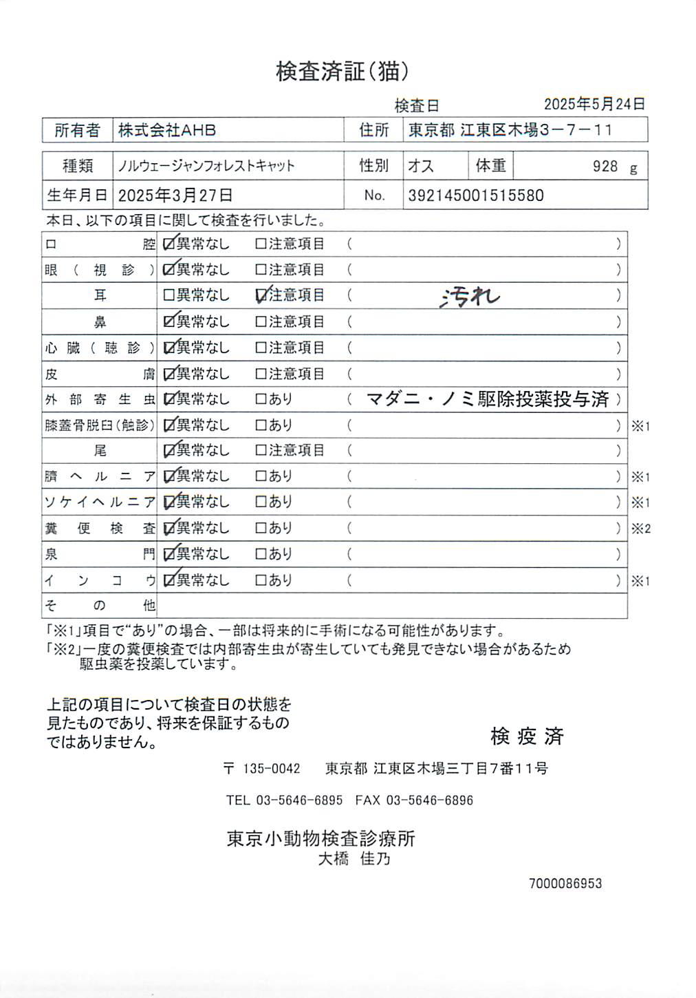 ノルウェージャンフォレストキャット