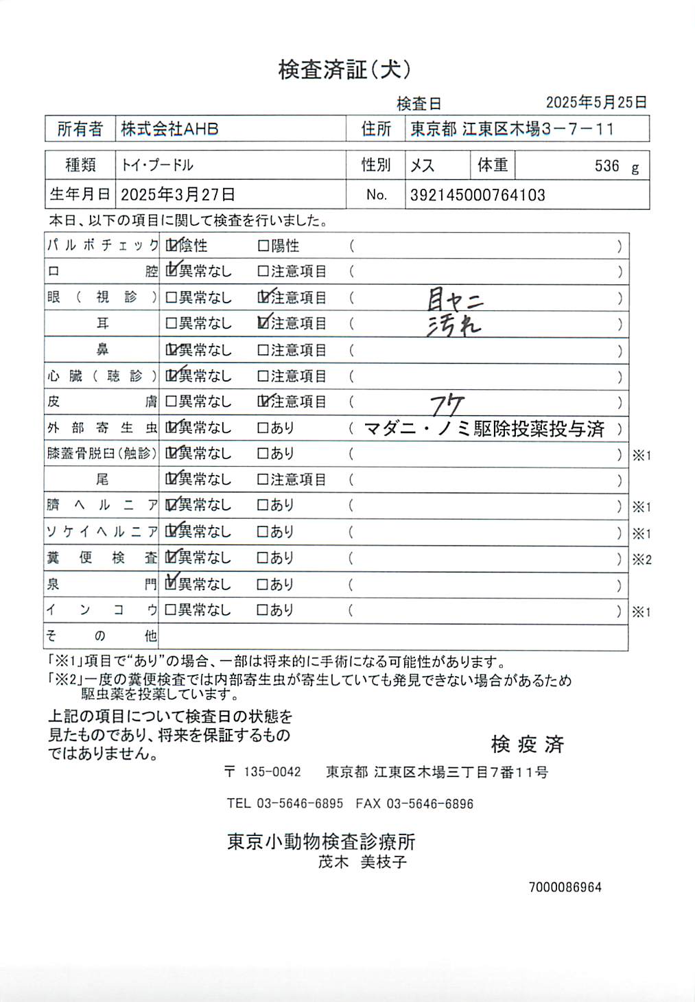 トイ・プードル