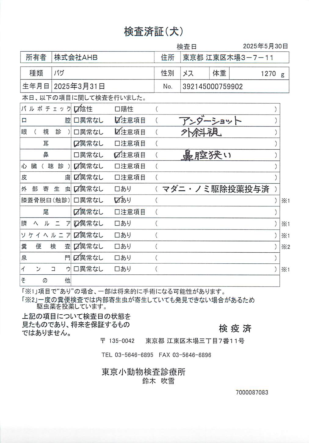 パグ