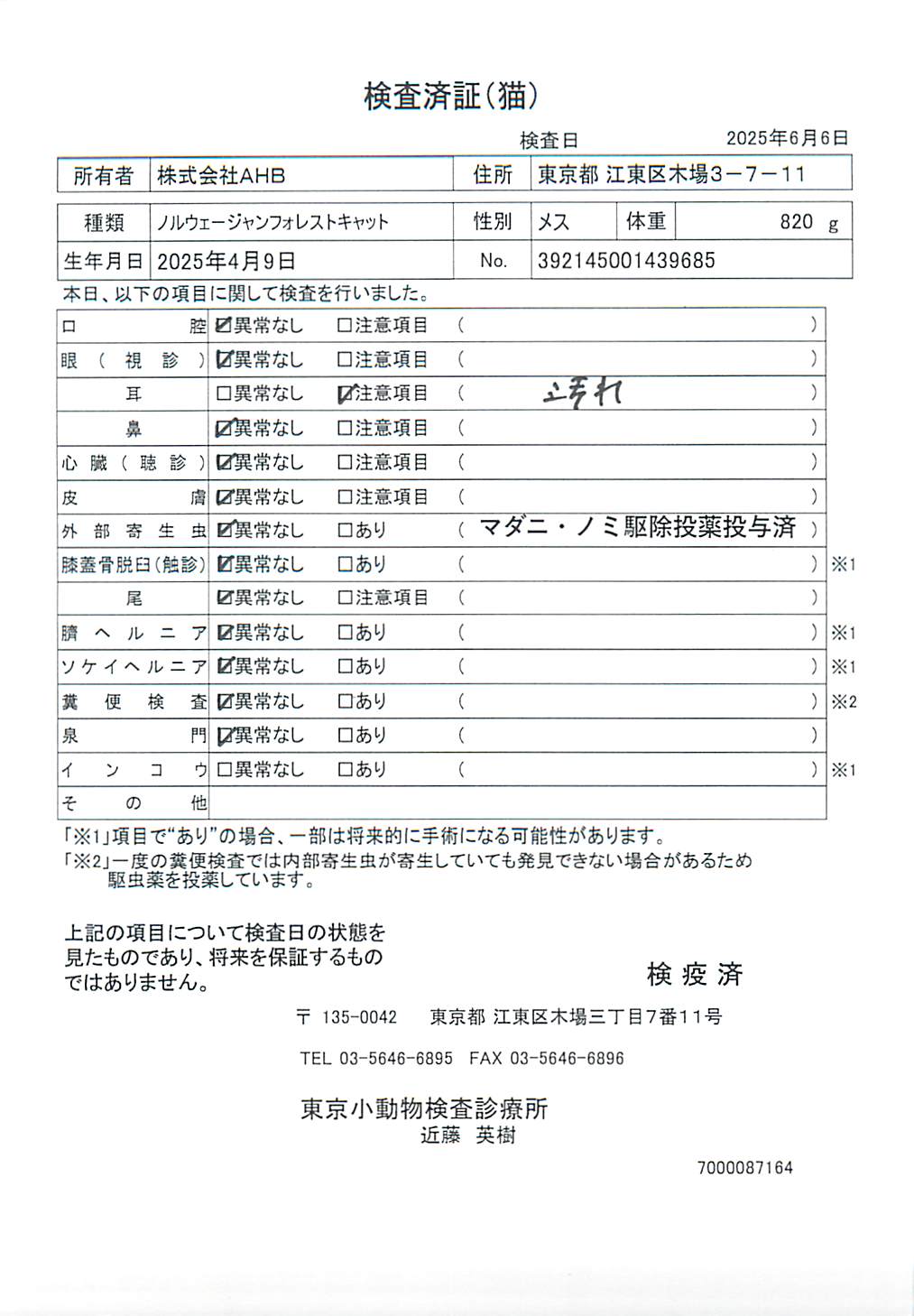 ノルウェージャンフォレストキャット