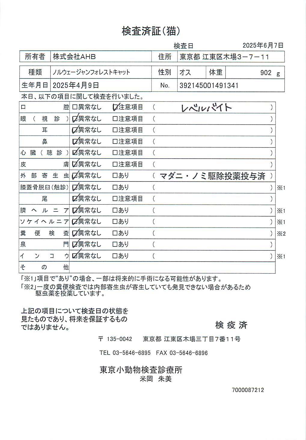 ノルウェージャンフォレストキャット