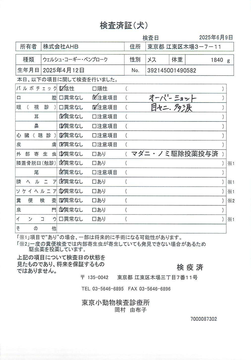 ウェルシュ・コーギー・ペンブローク