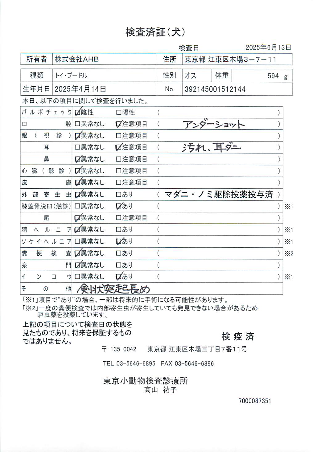 トイ・プードル