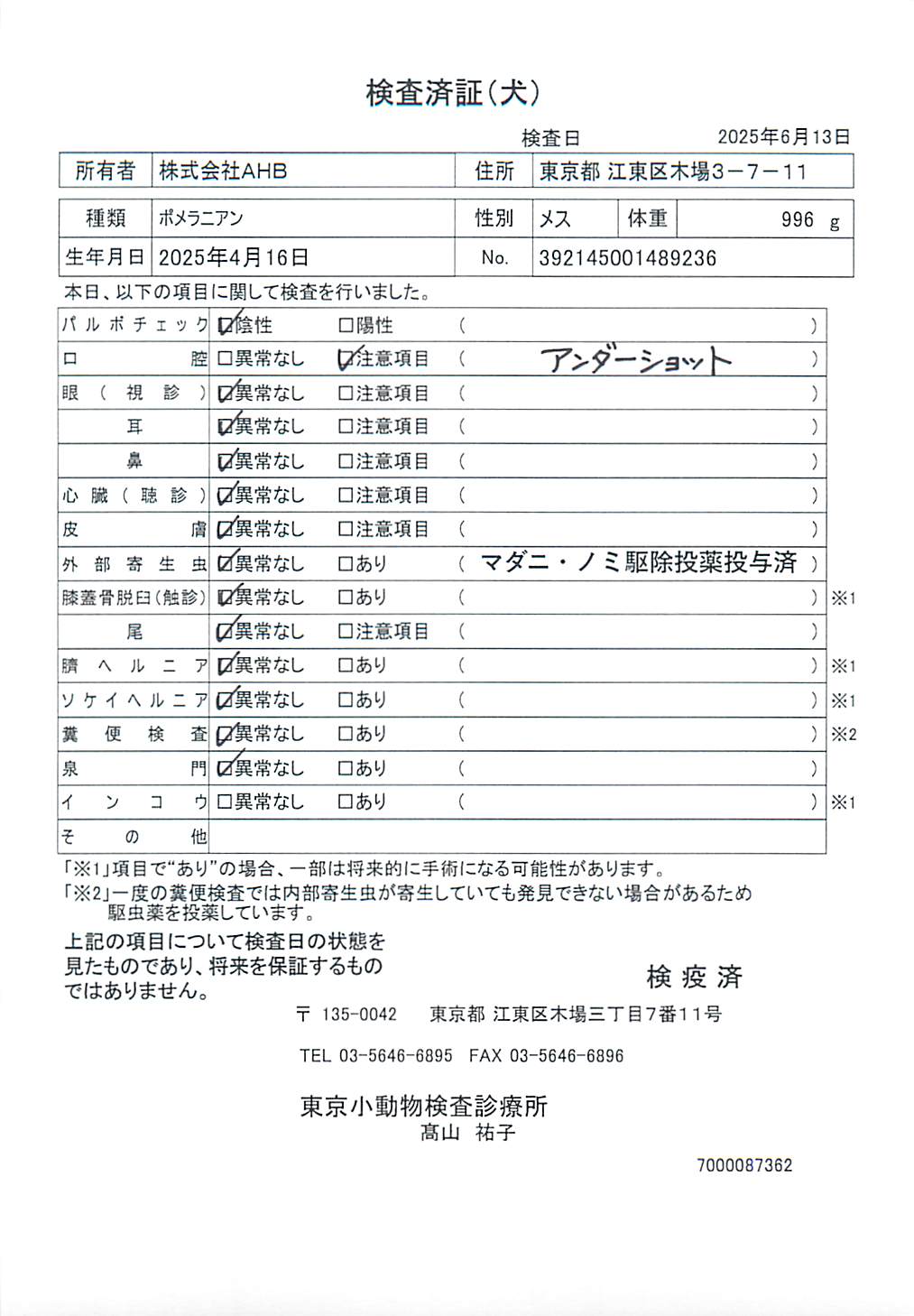 ポメラニアン