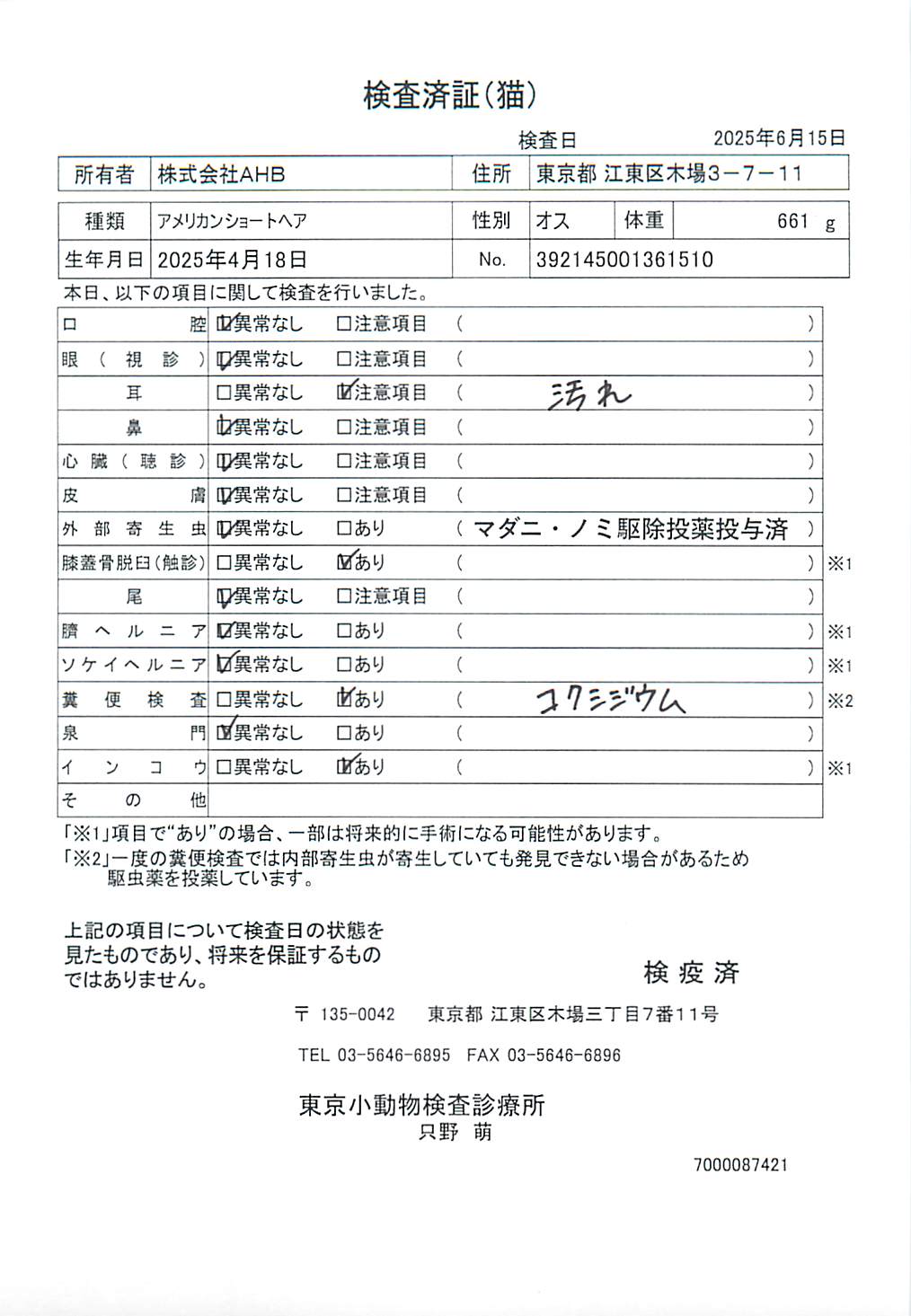 アメリカンショートヘア