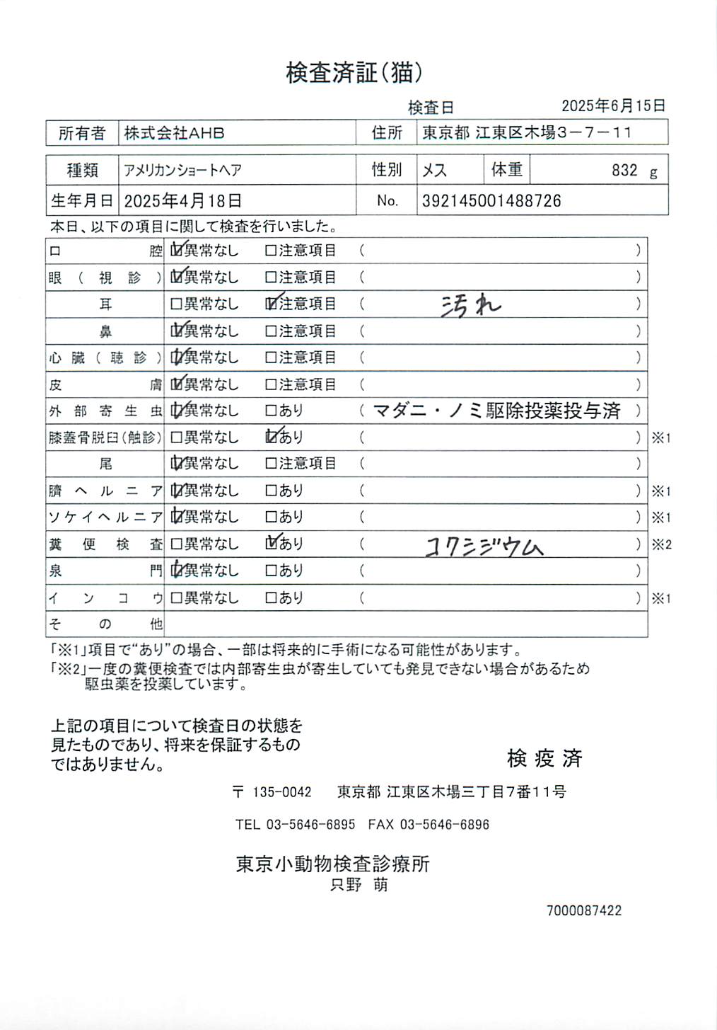 アメリカンショートヘア