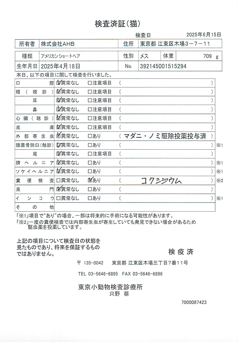 アメリカンショートヘア