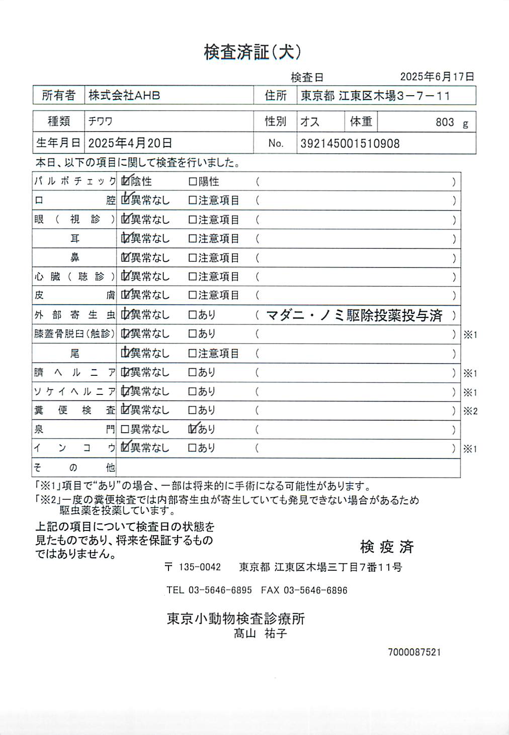 チワワ