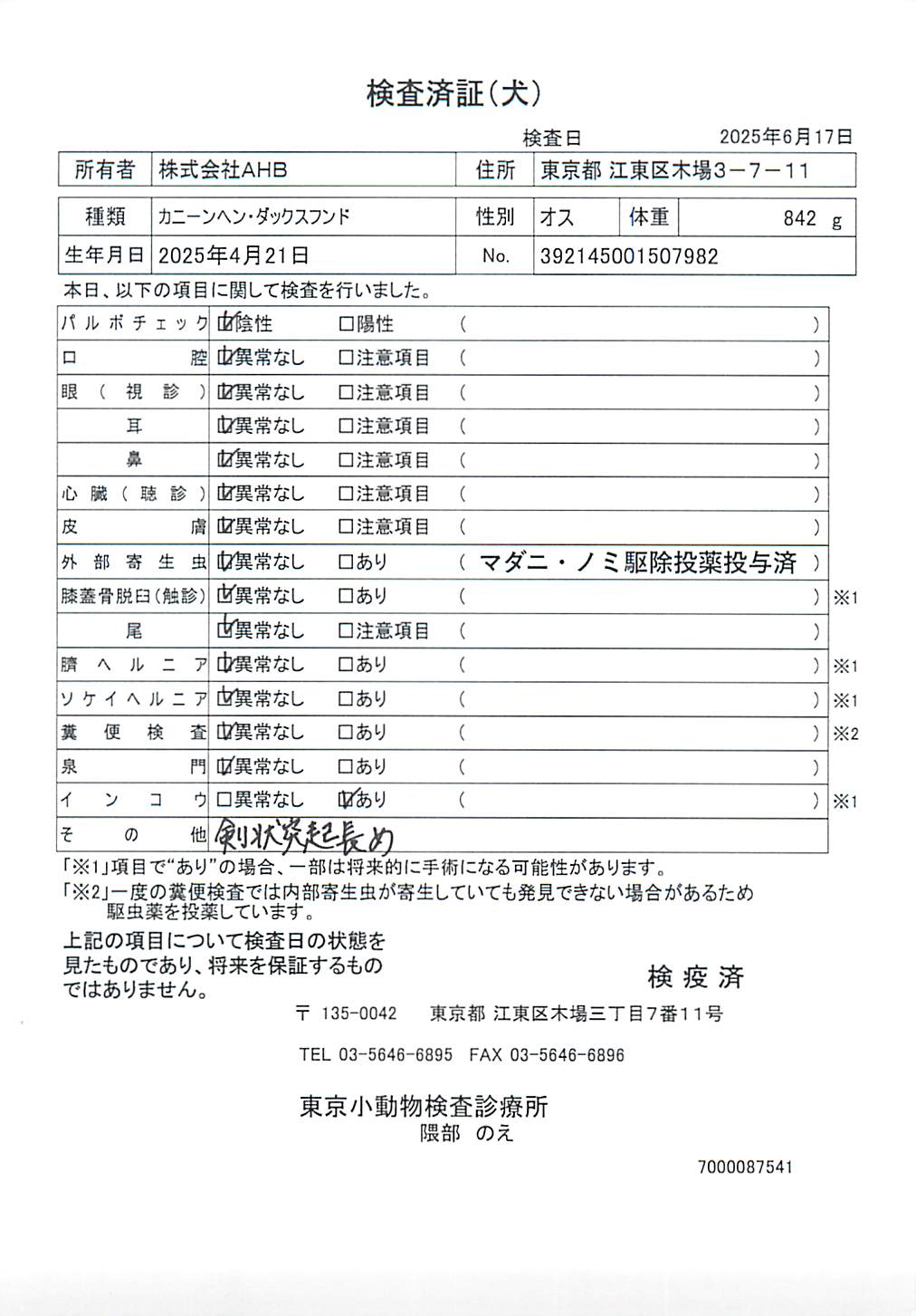 カニーンヘン・ダックスフンド