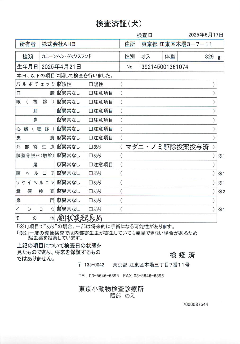 カニーンヘン・ダックスフンド