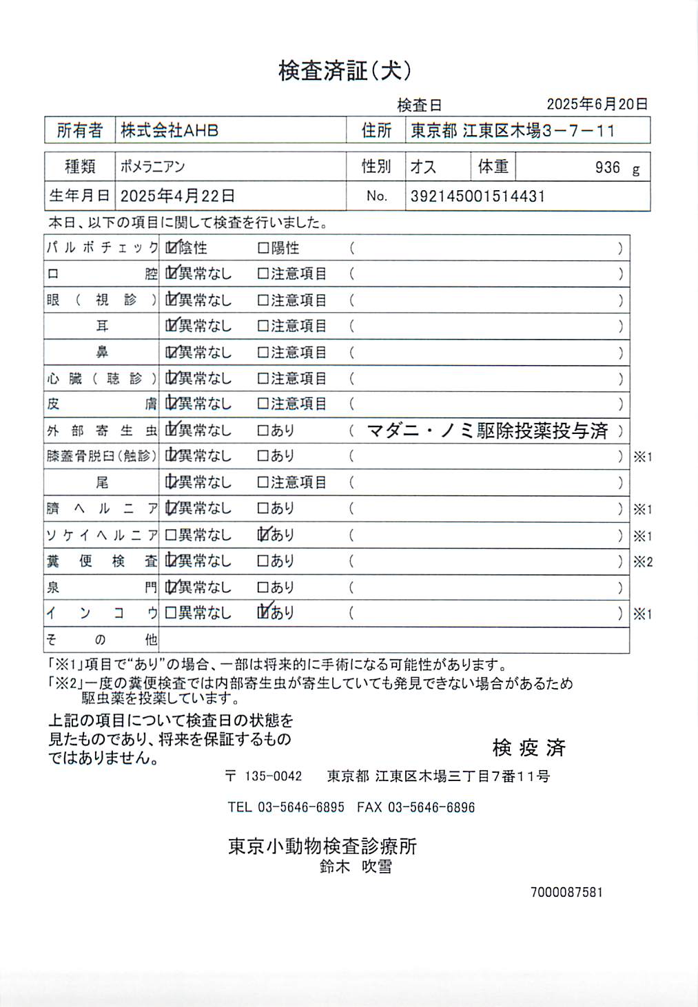 ポメラニアン