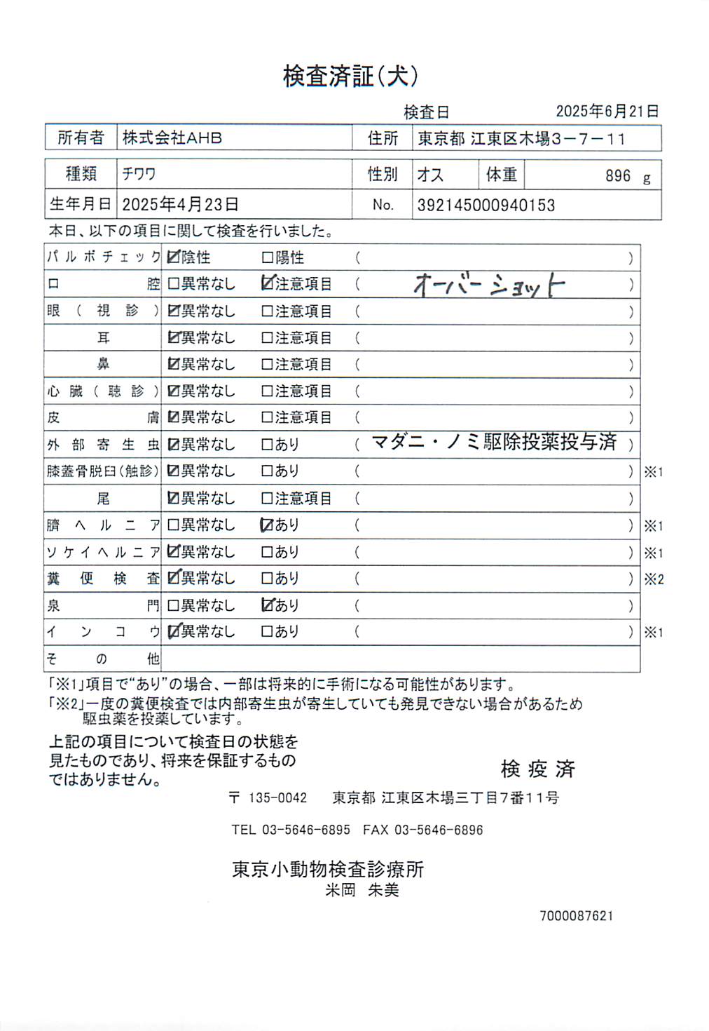 チワワ