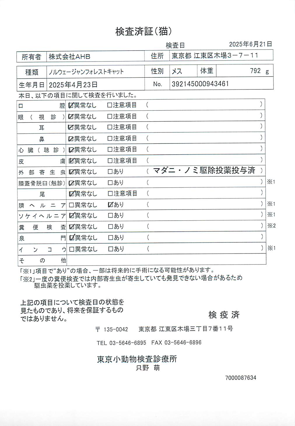 ノルウェージャンフォレストキャット