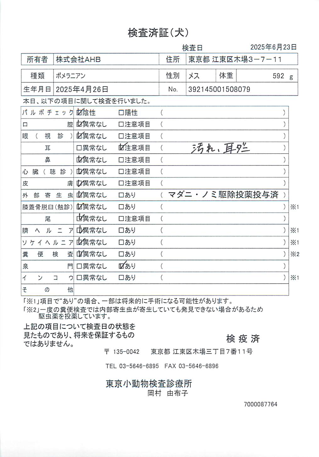 ポメラニアン