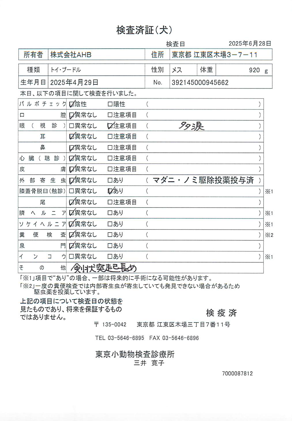 トイ・プードル
