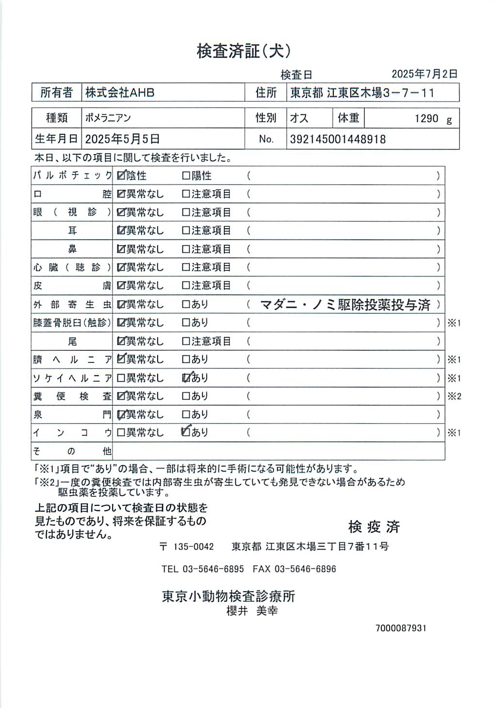 ポメラニアン