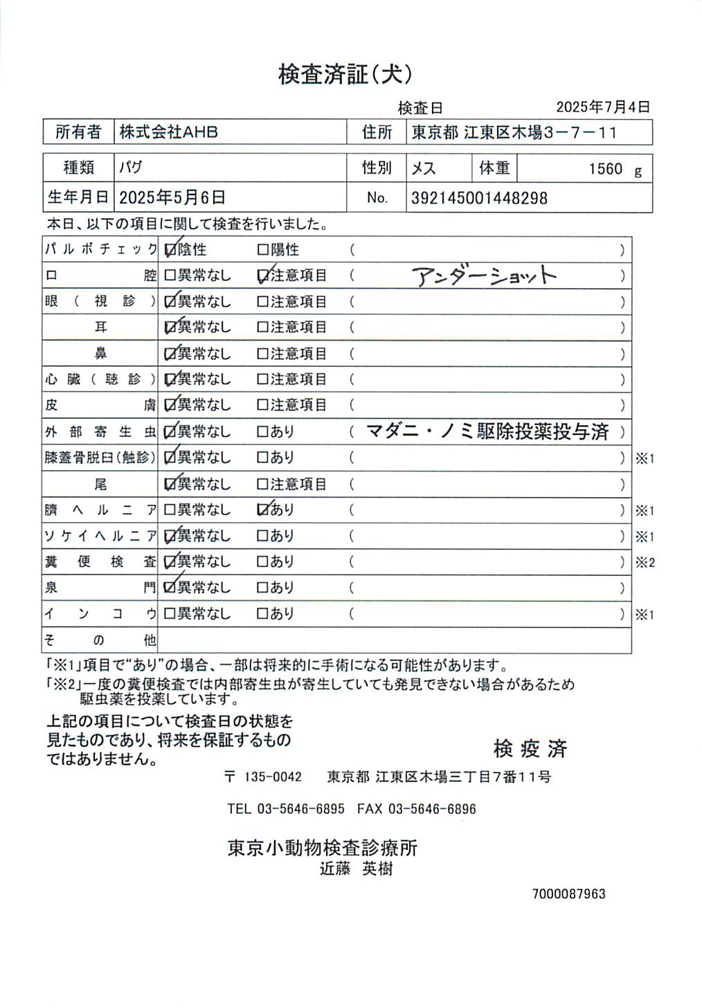 パグ