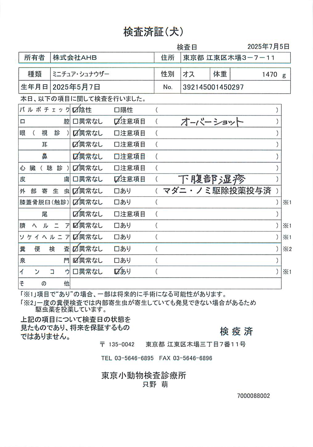 ミニチュア・シュナウザー