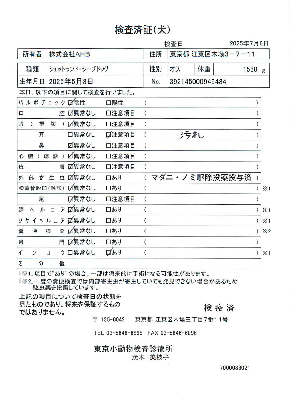シェットランド・シープドッグ