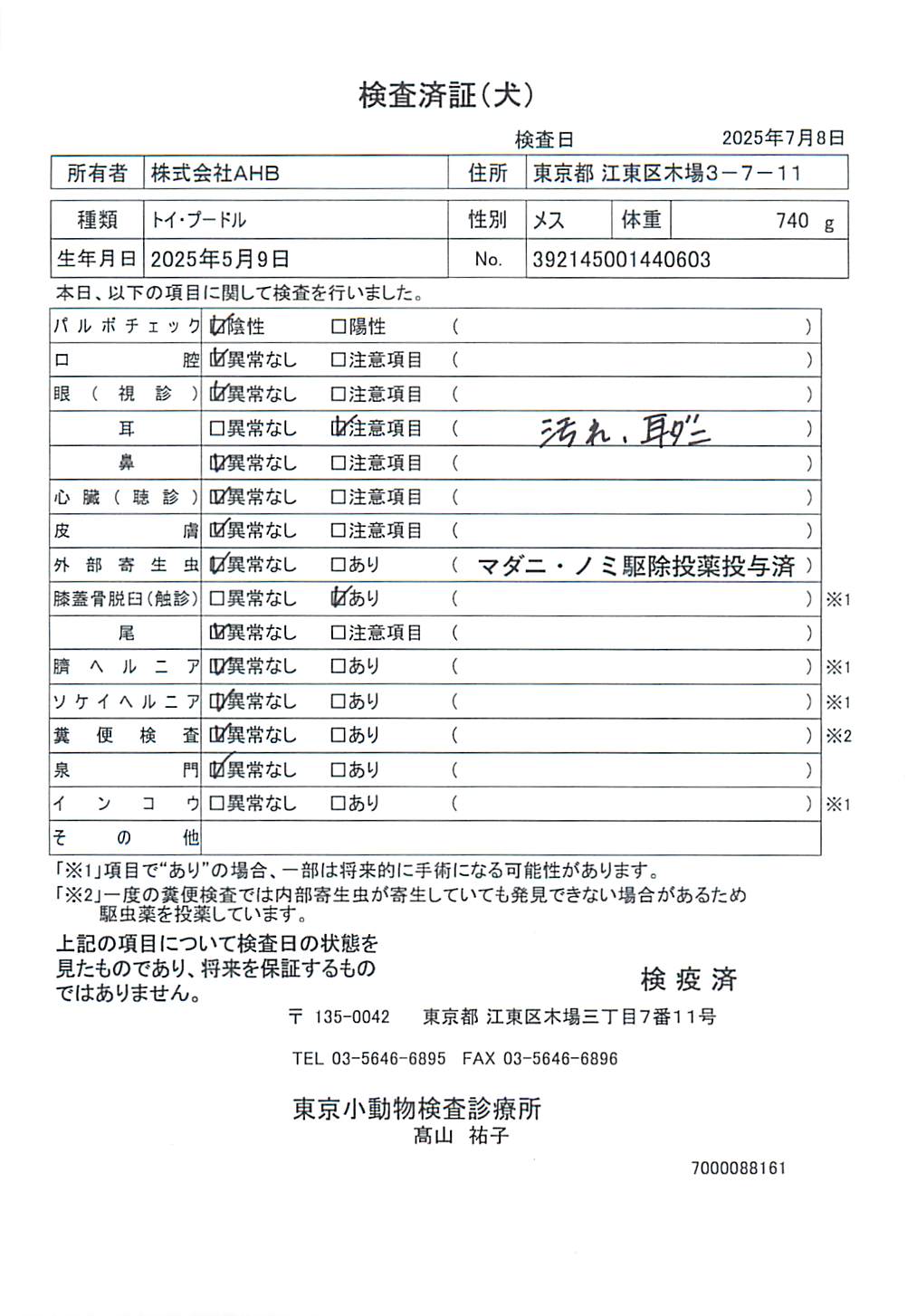 トイ・プードル