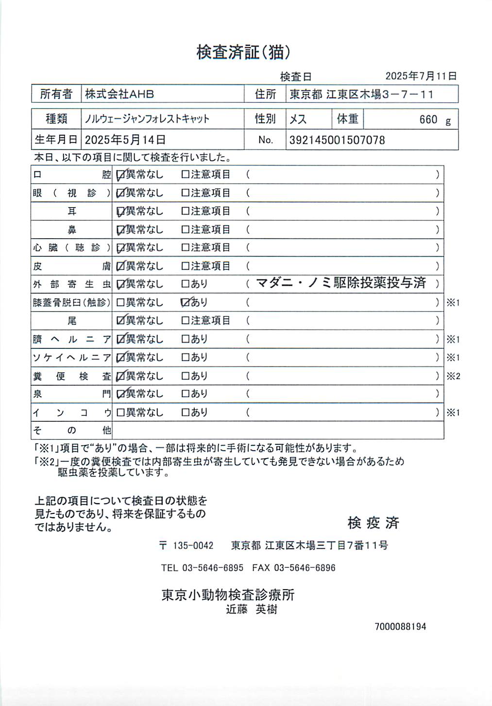 ノルウェージャンフォレストキャット