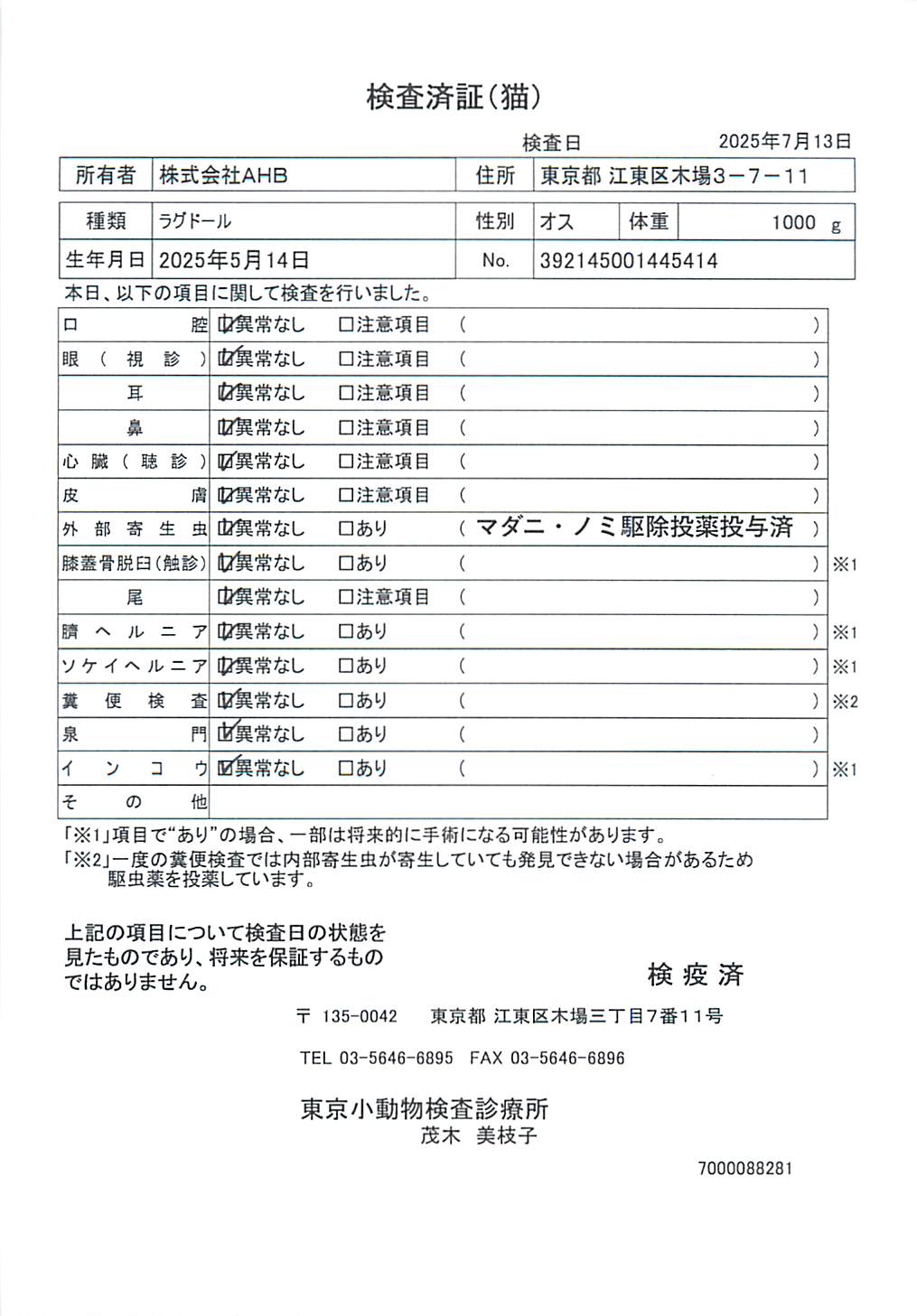 ラグドール