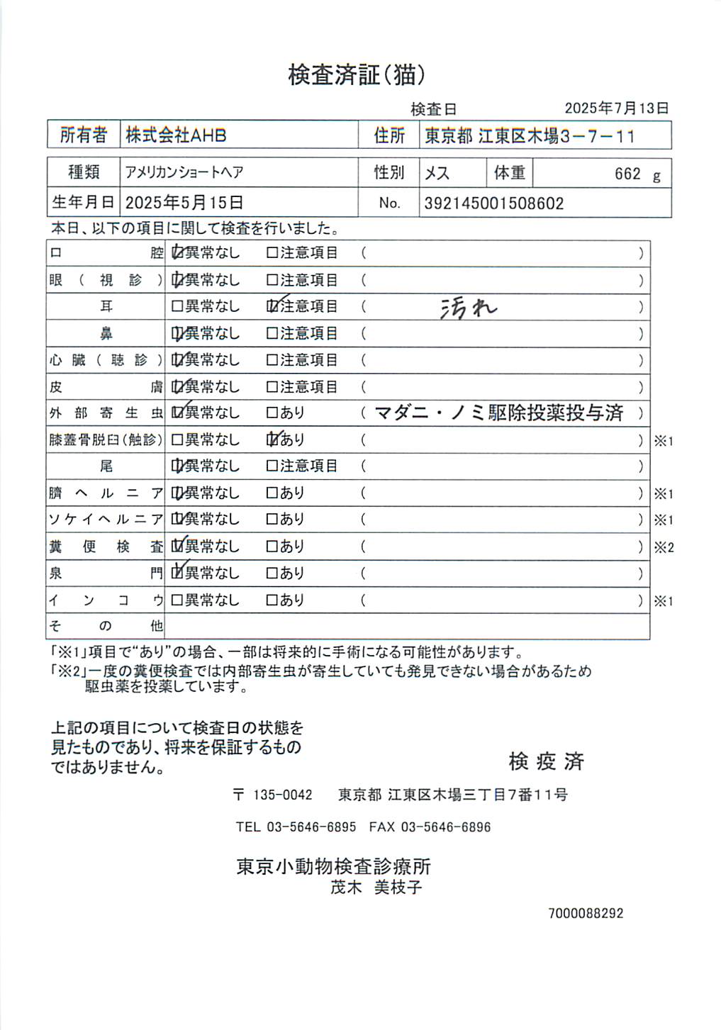 アメリカンショートヘア