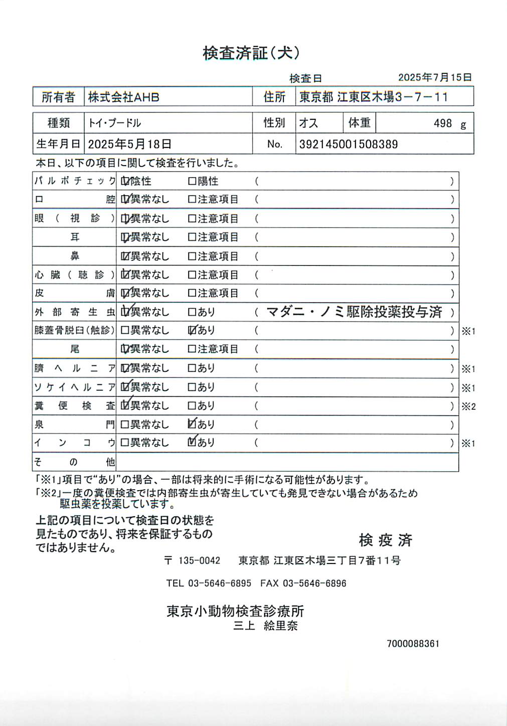トイ・プードル