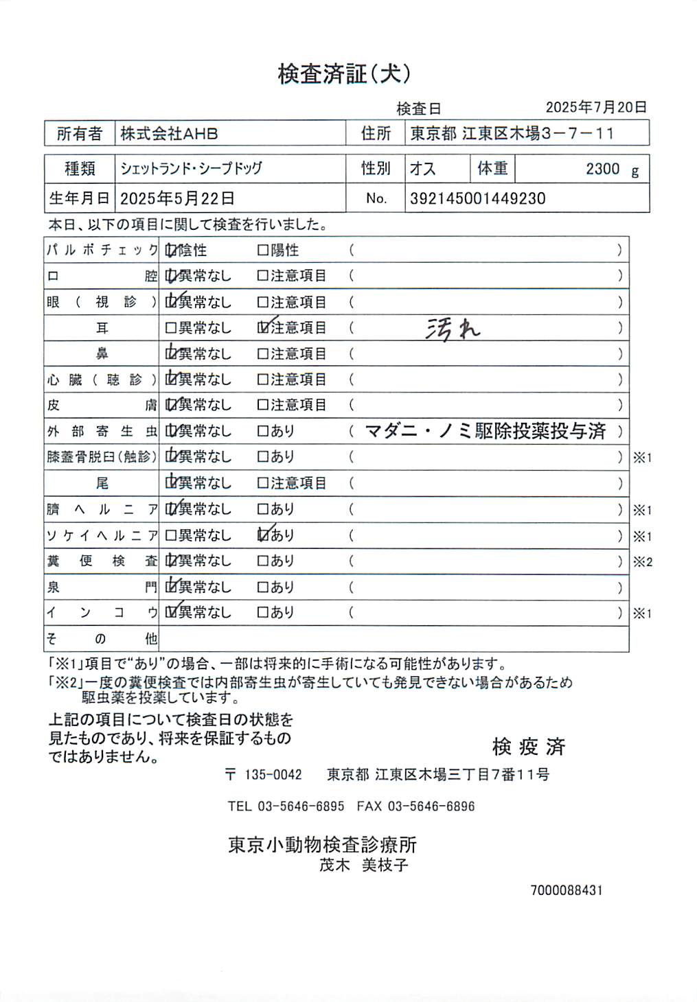 シェットランド・シープドッグ