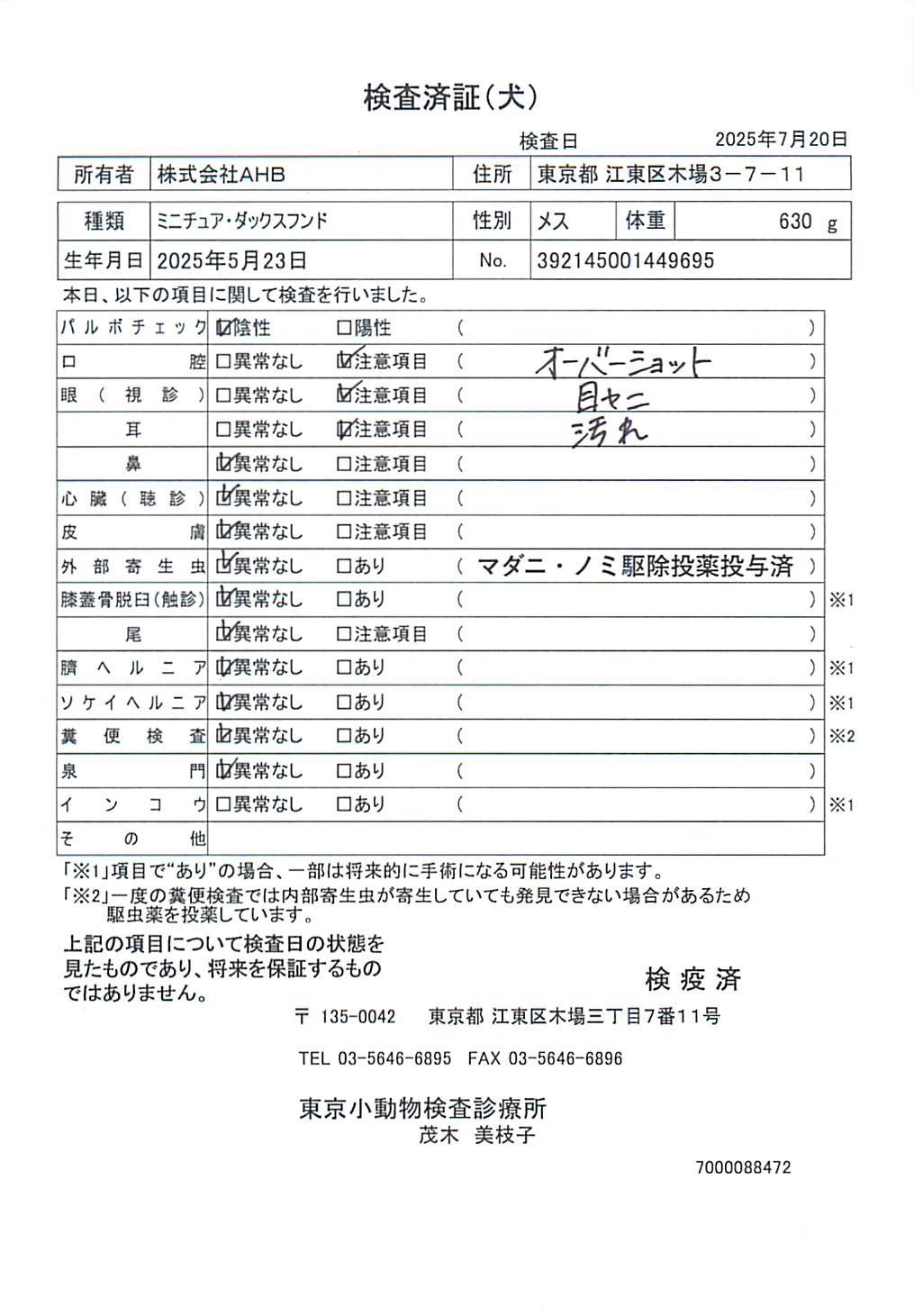 ミニチュア・ダックスフンド