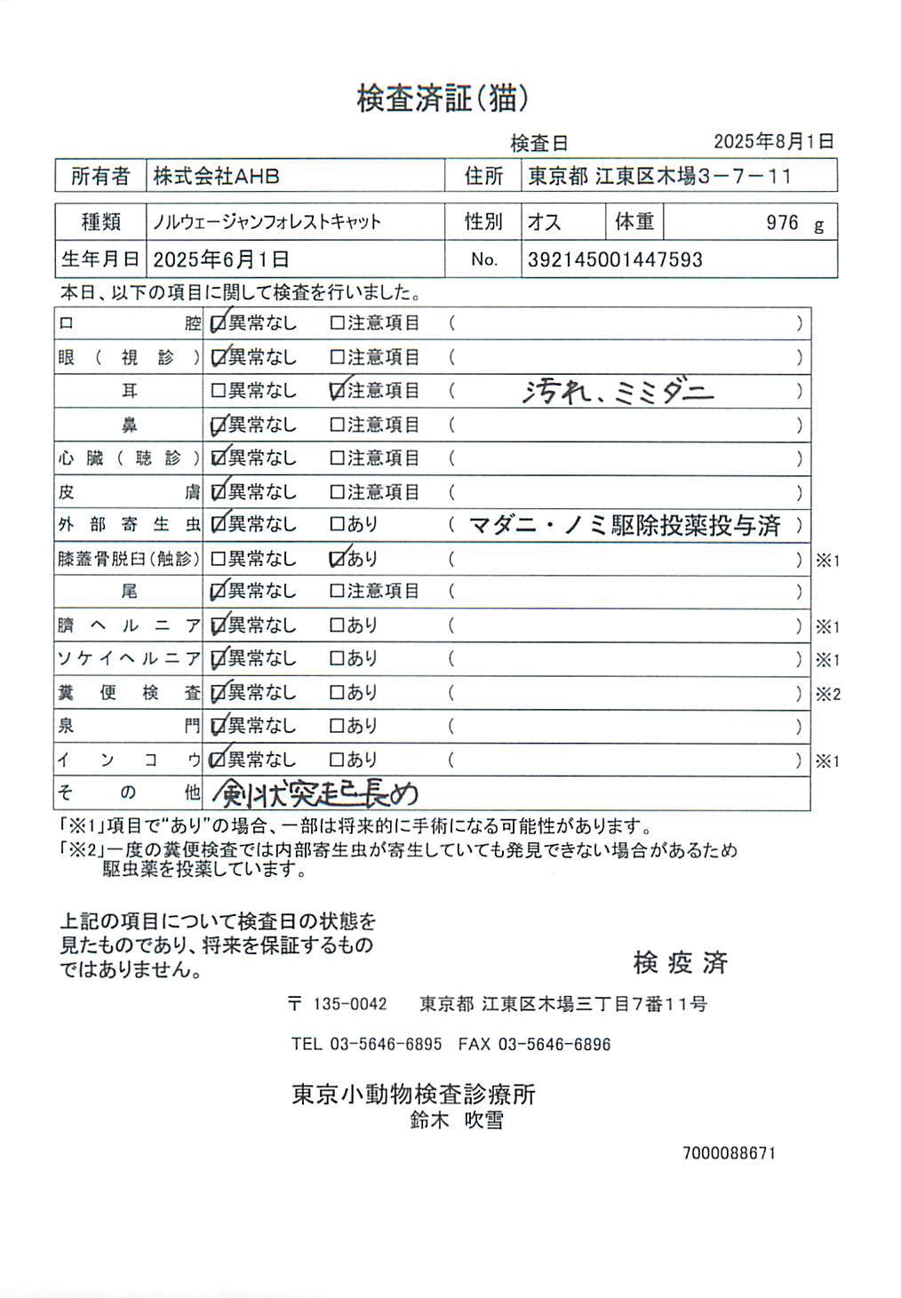 ノルウェージャンフォレストキャット