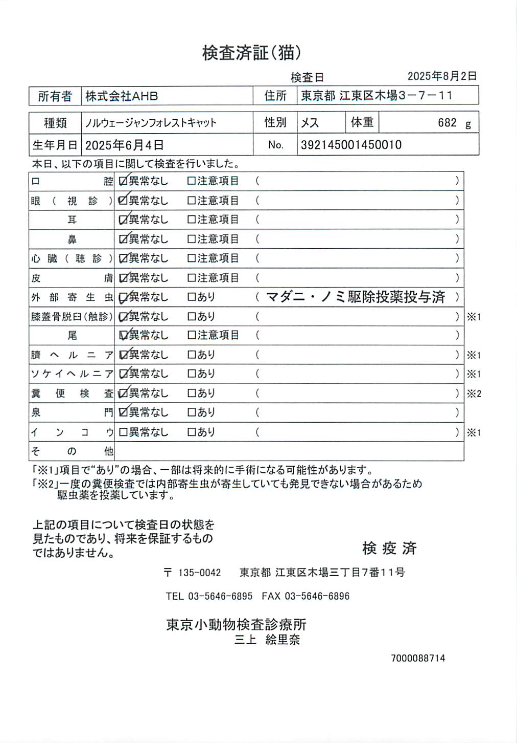 ノルウェージャンフォレストキャット