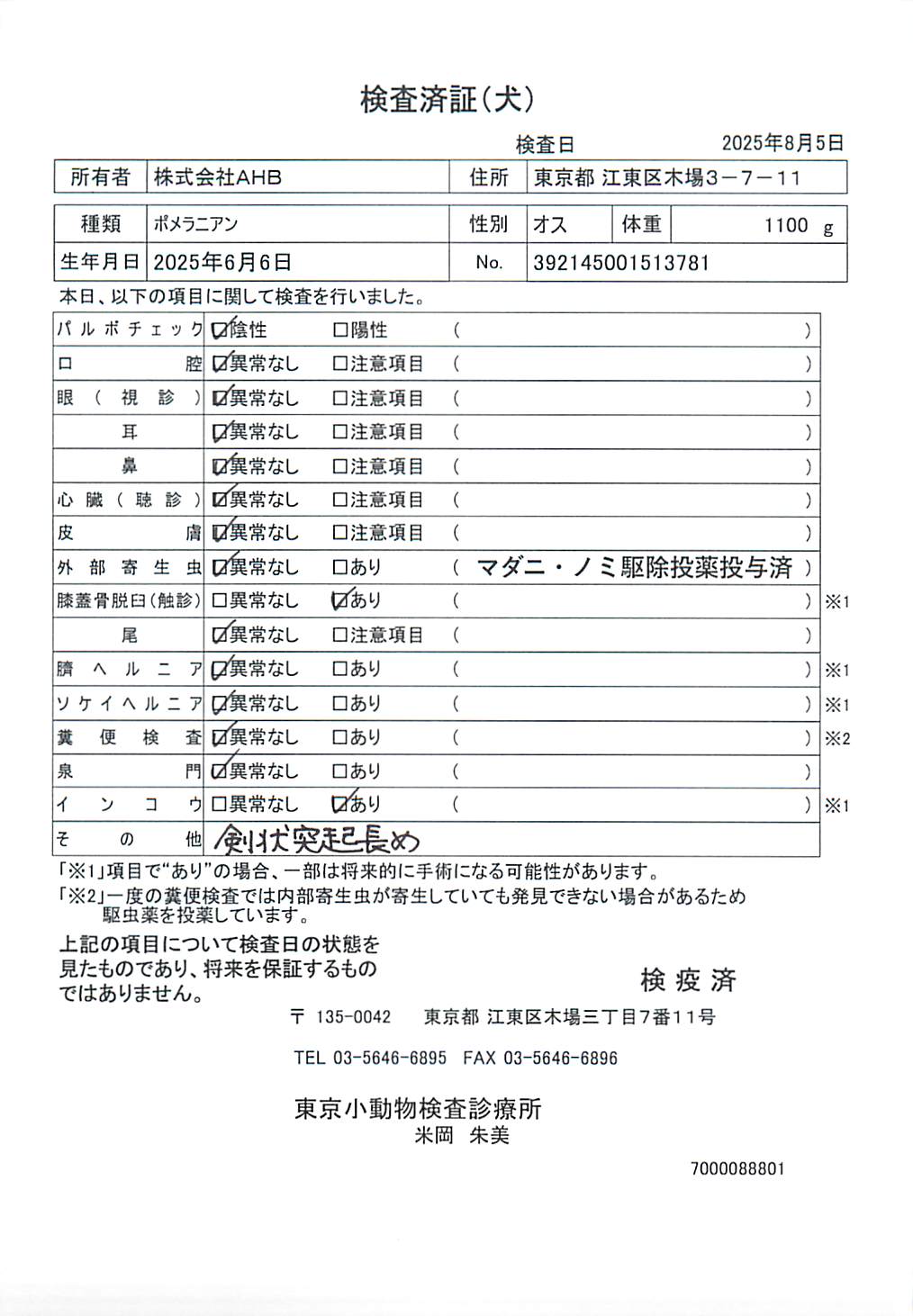 ポメラニアン