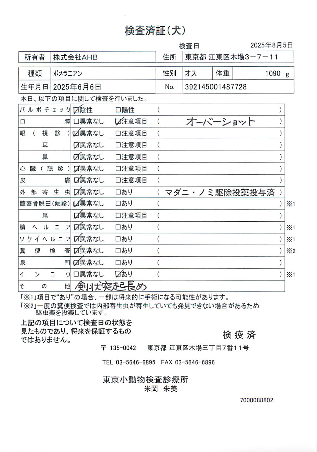 ポメラニアン