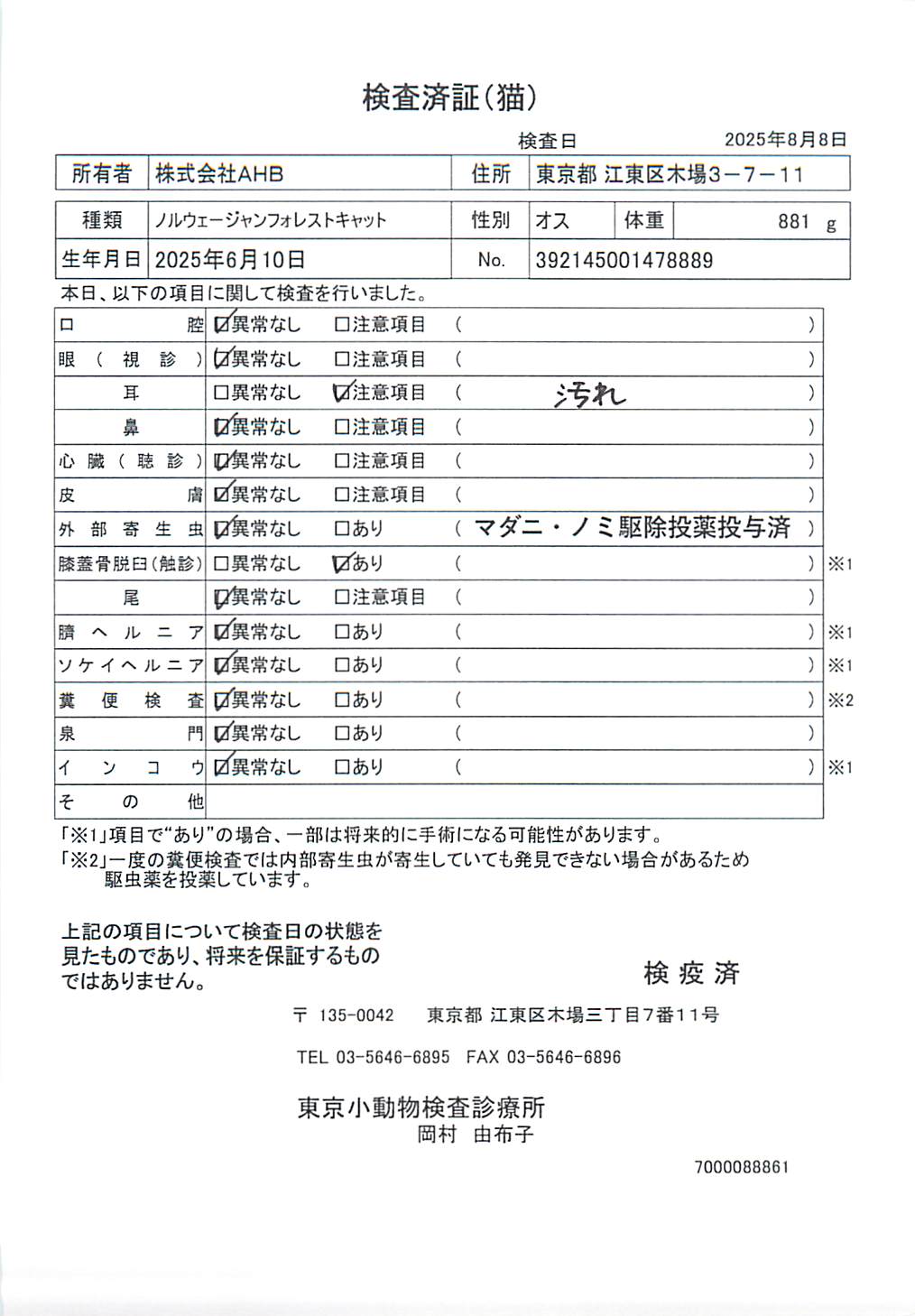 ノルウェージャンフォレストキャット