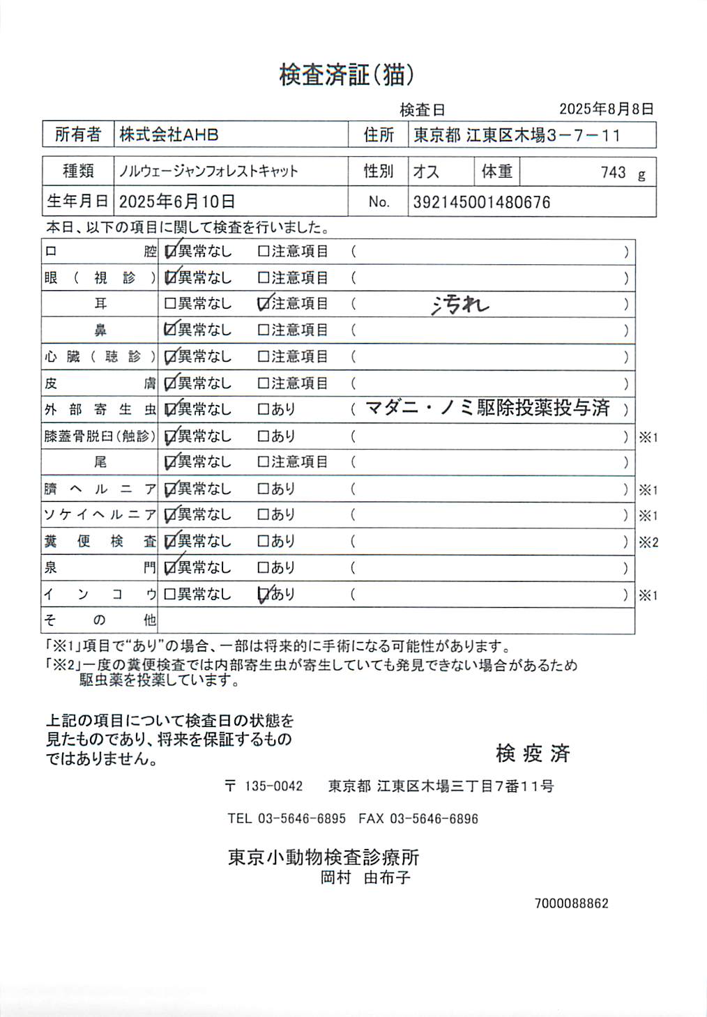 ノルウェージャンフォレストキャット