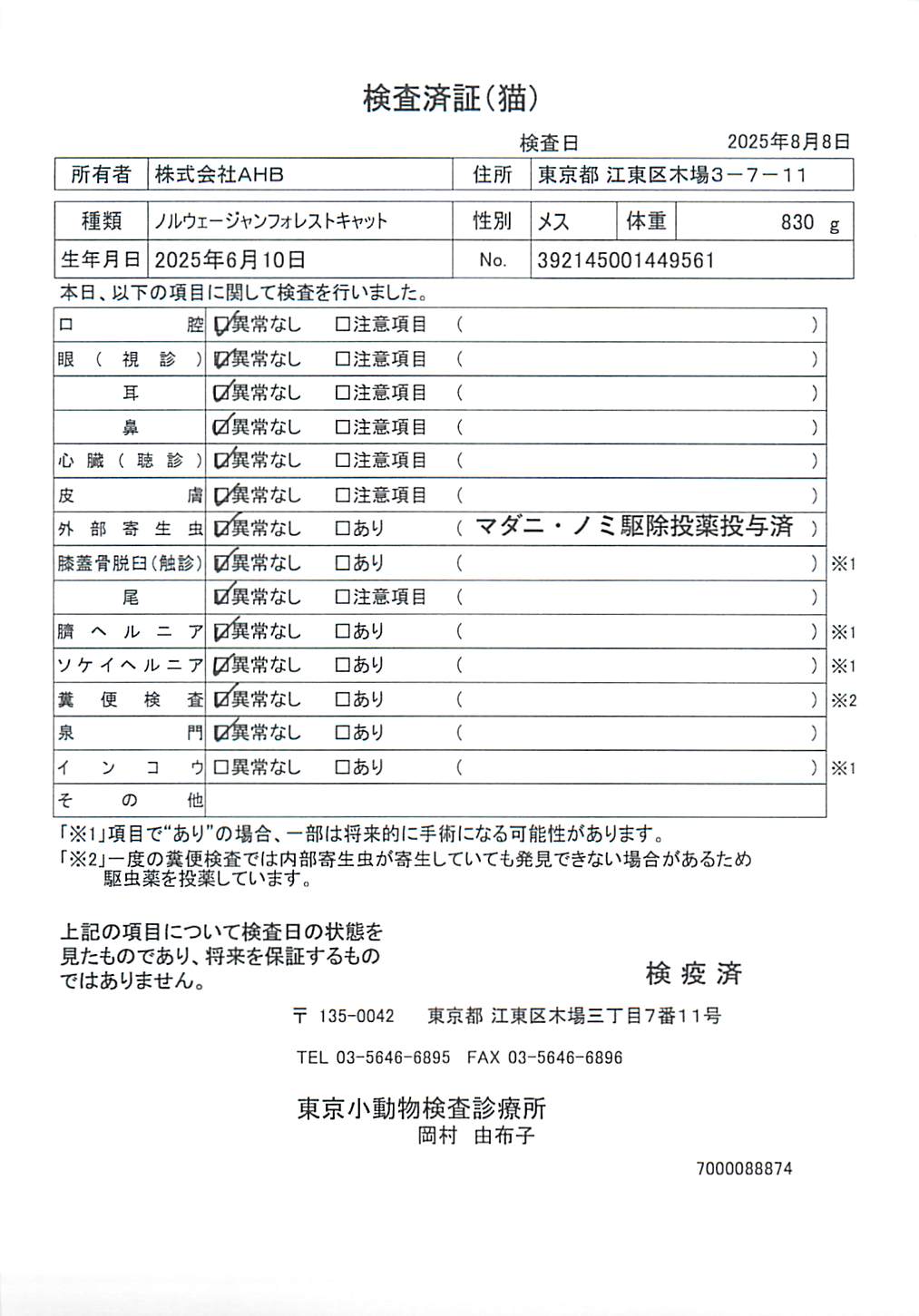 ノルウェージャンフォレストキャット