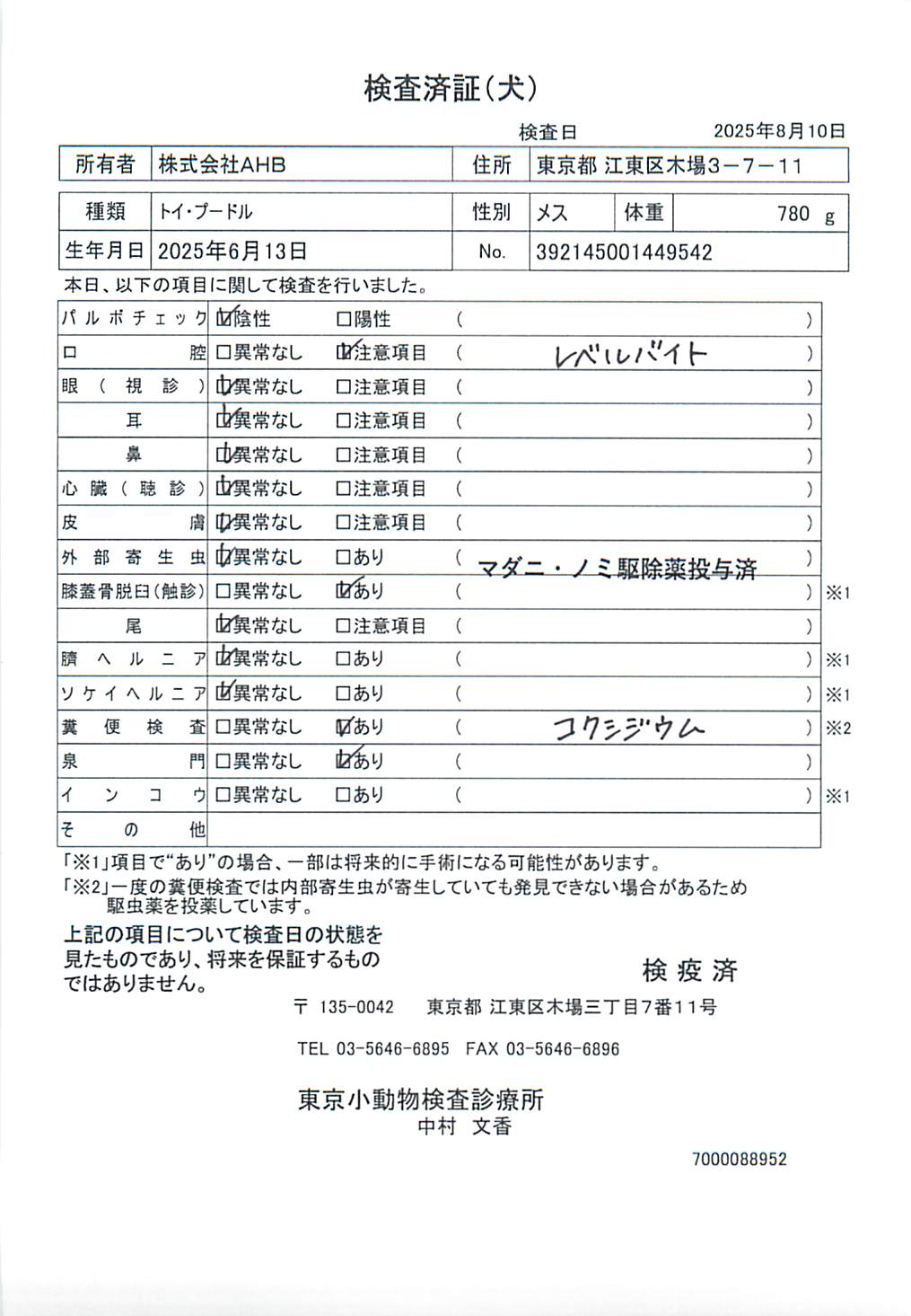 トイ・プードル