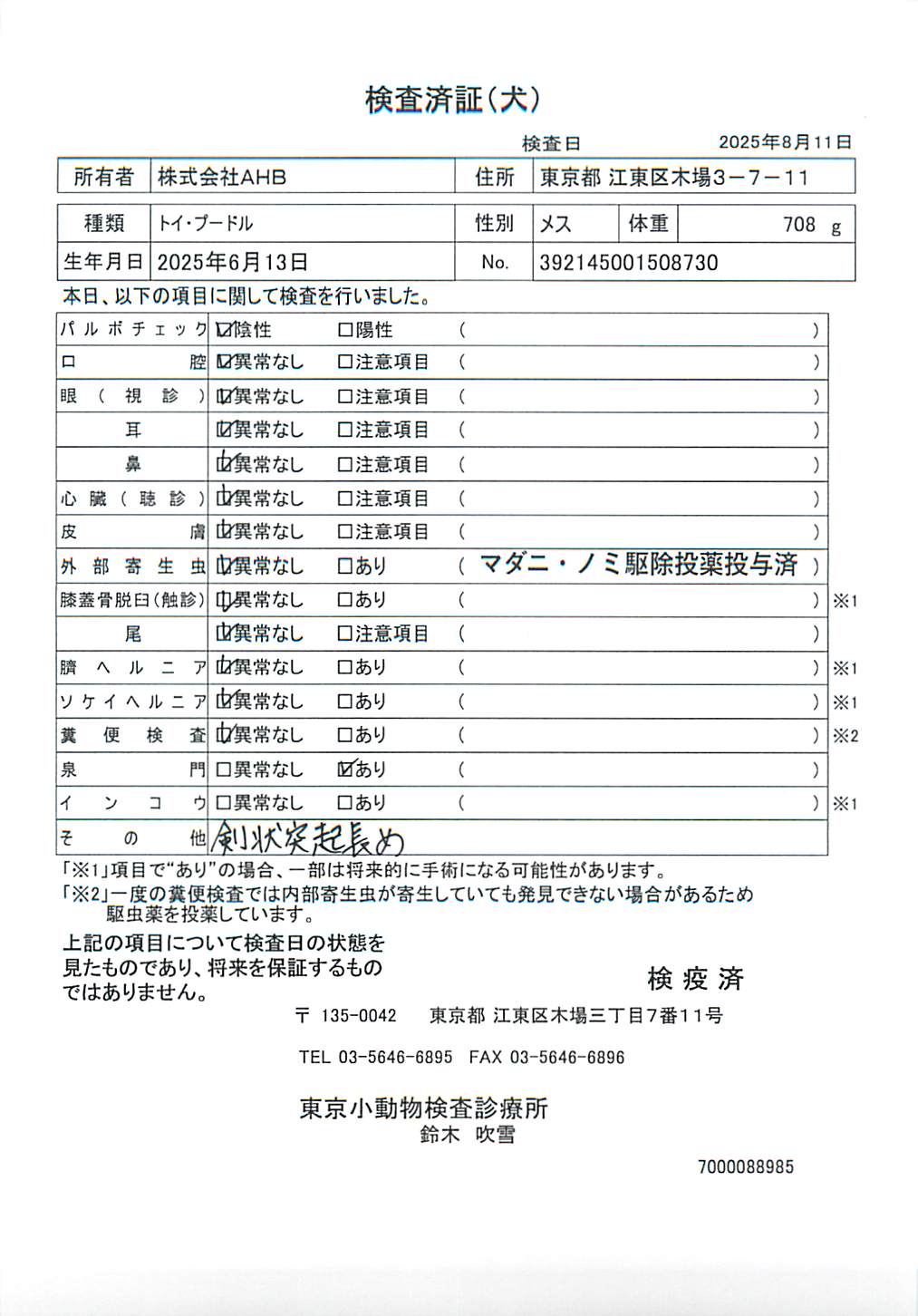トイ・プードル
