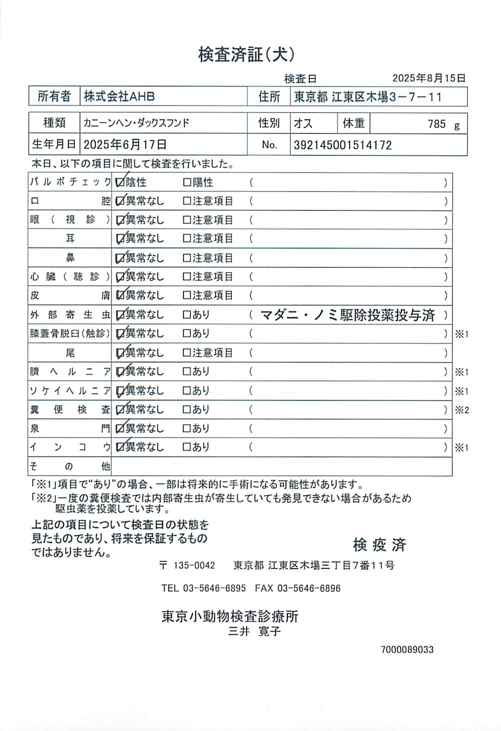 カニーンヘン・ダックスフンド