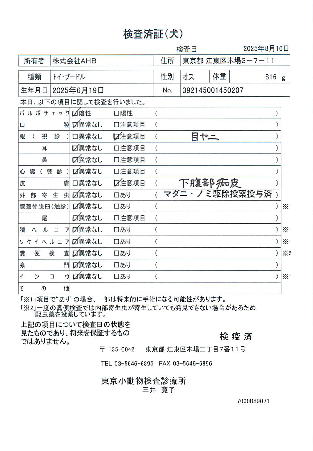 トイ・プードル