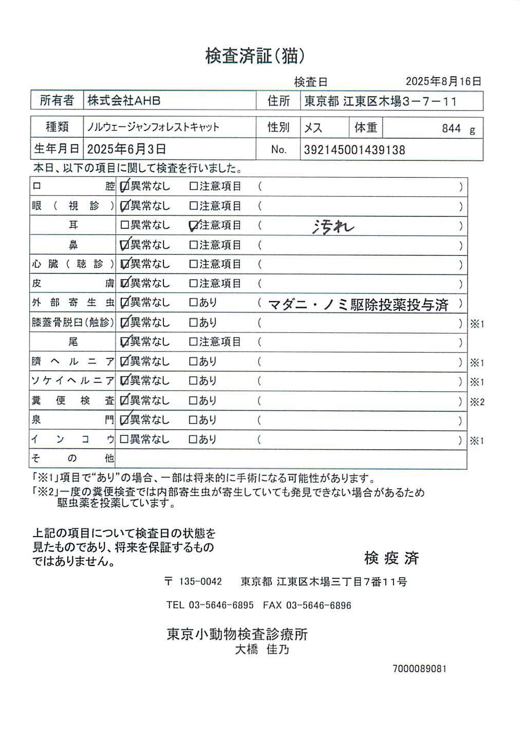 ノルウェージャンフォレストキャット