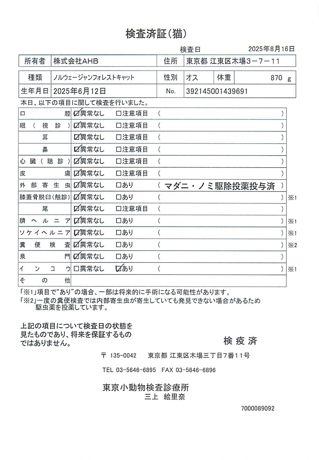 ノルウェージャンフォレストキャット