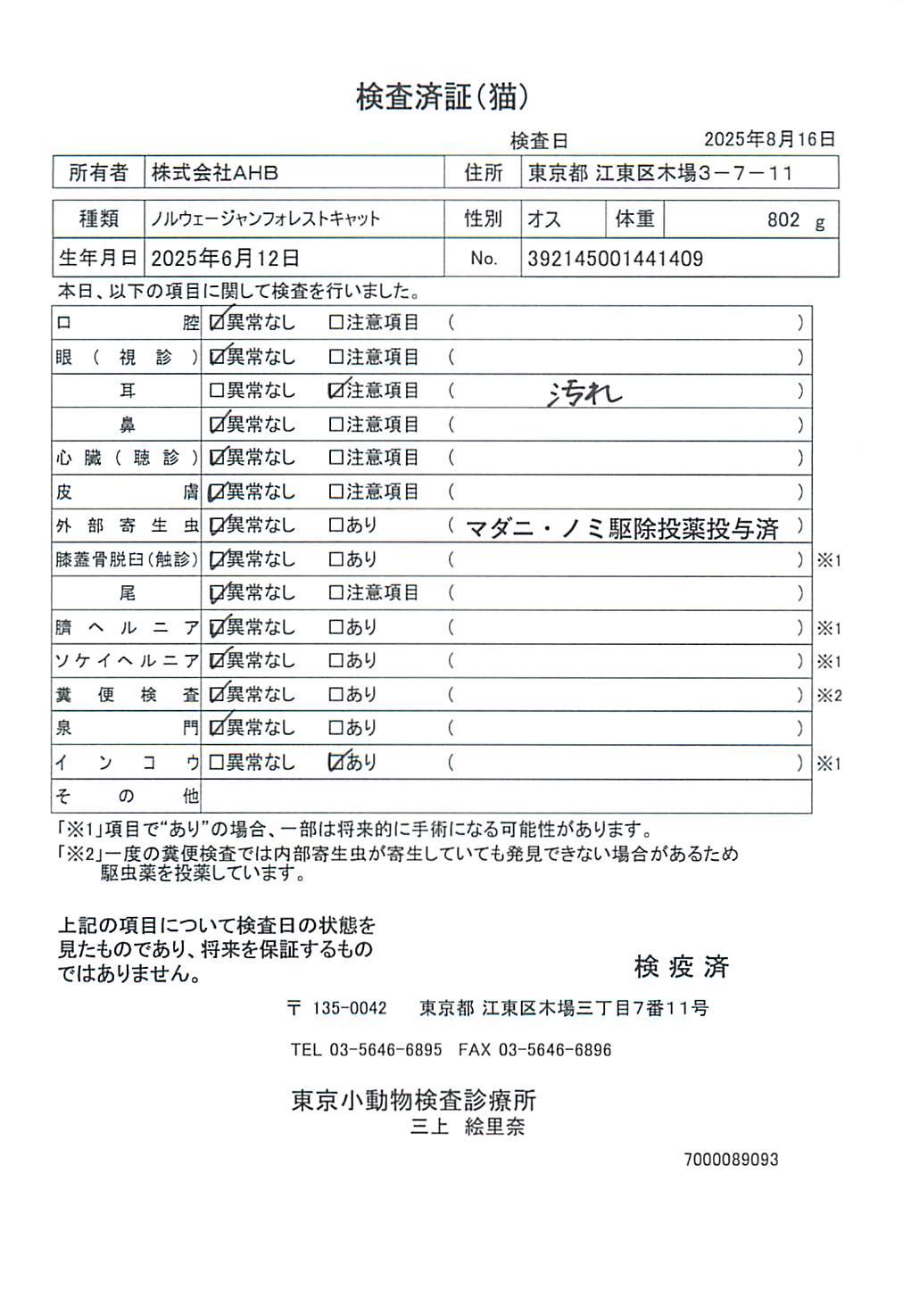 ノルウェージャンフォレストキャット