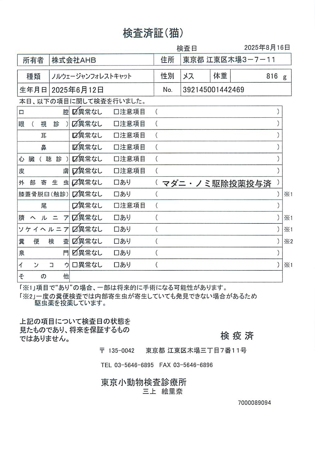 ノルウェージャンフォレストキャット