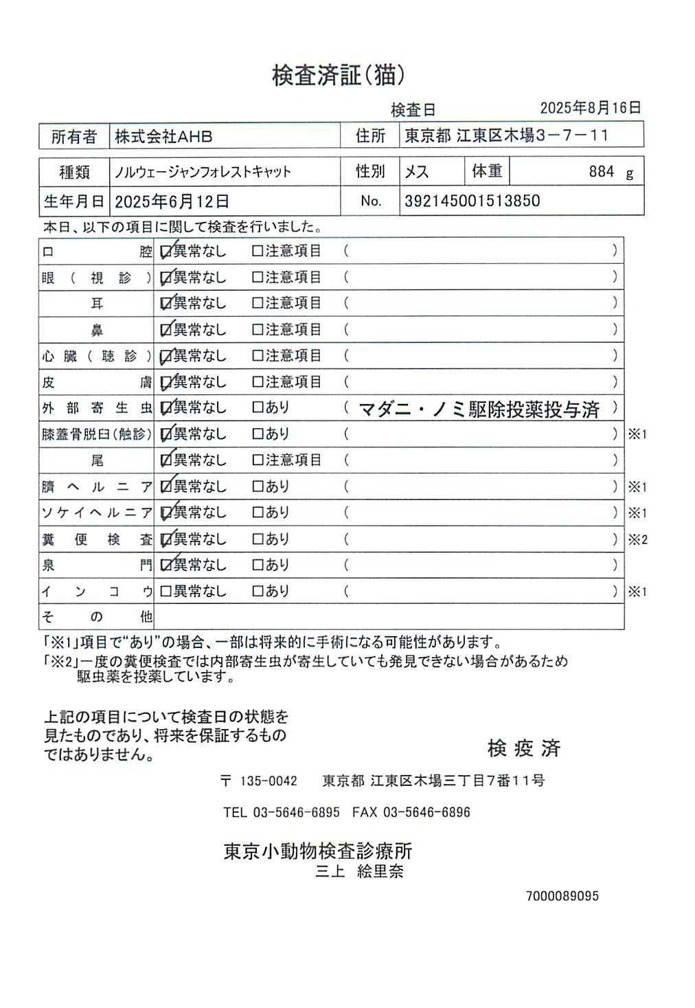 ノルウェージャンフォレストキャット