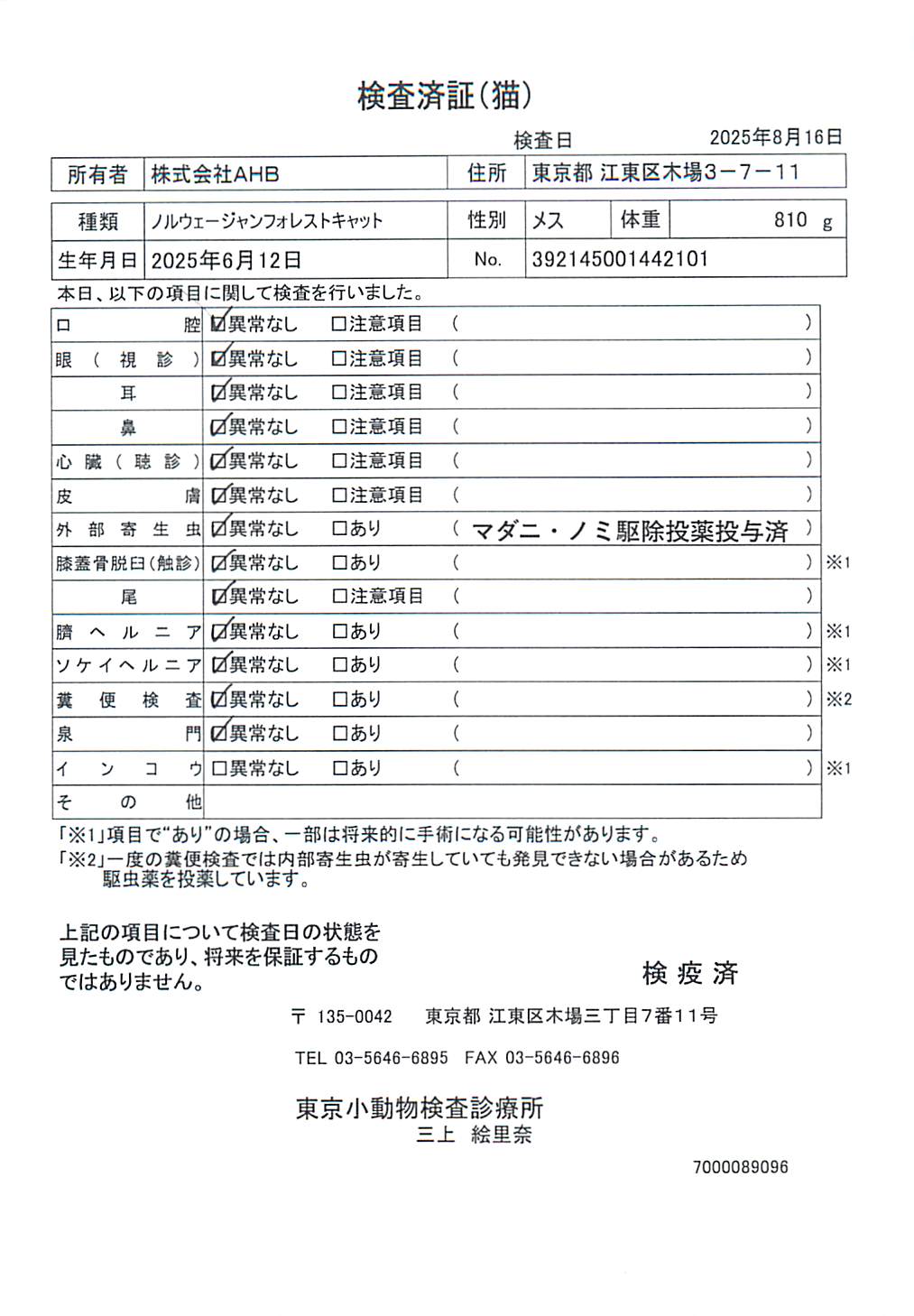 ノルウェージャンフォレストキャット