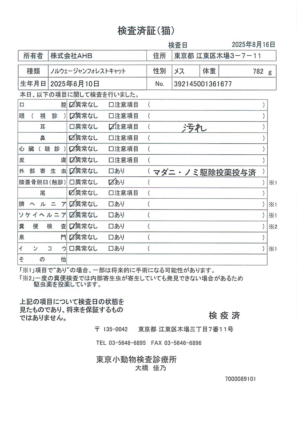 ノルウェージャンフォレストキャット